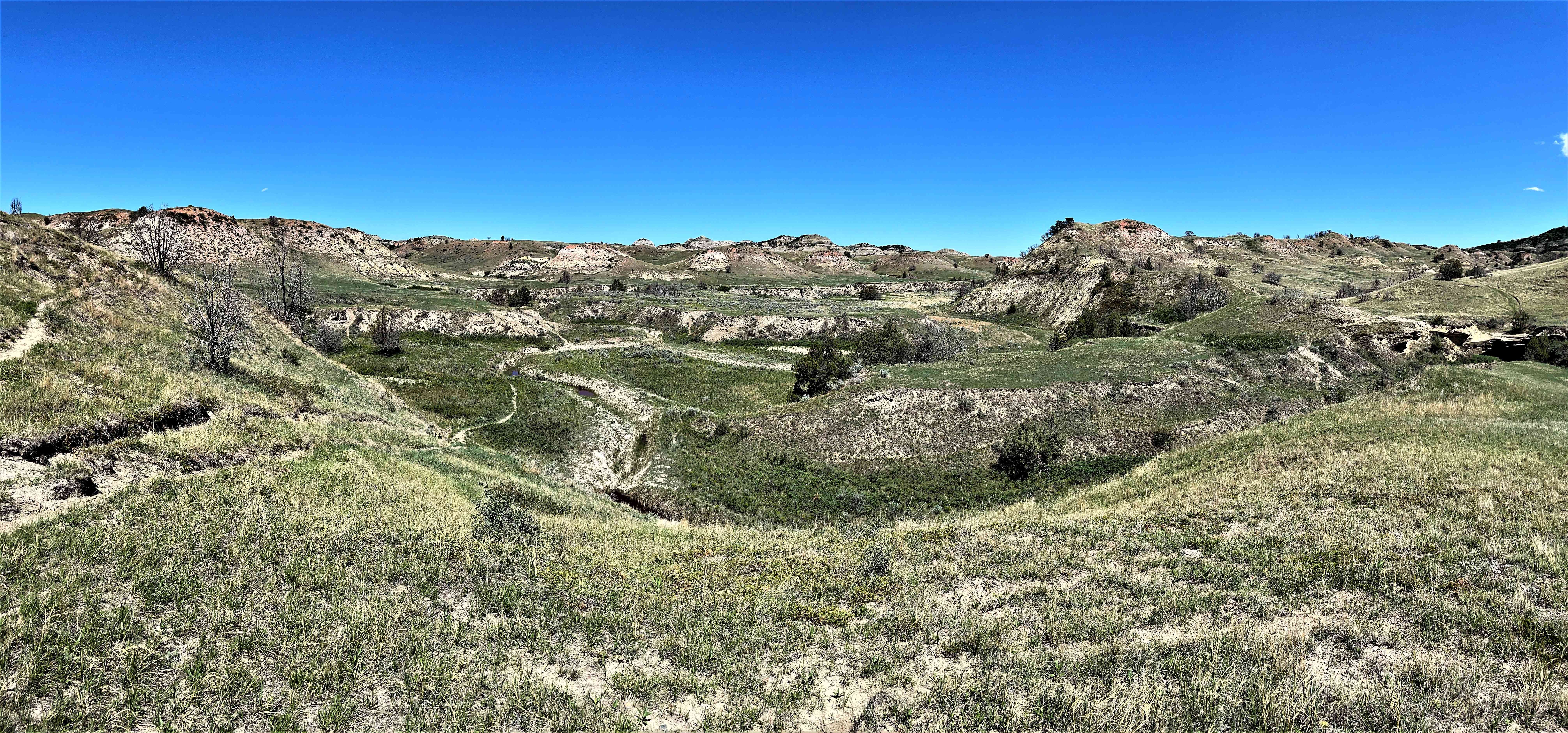 Theodore Roosevelt NP